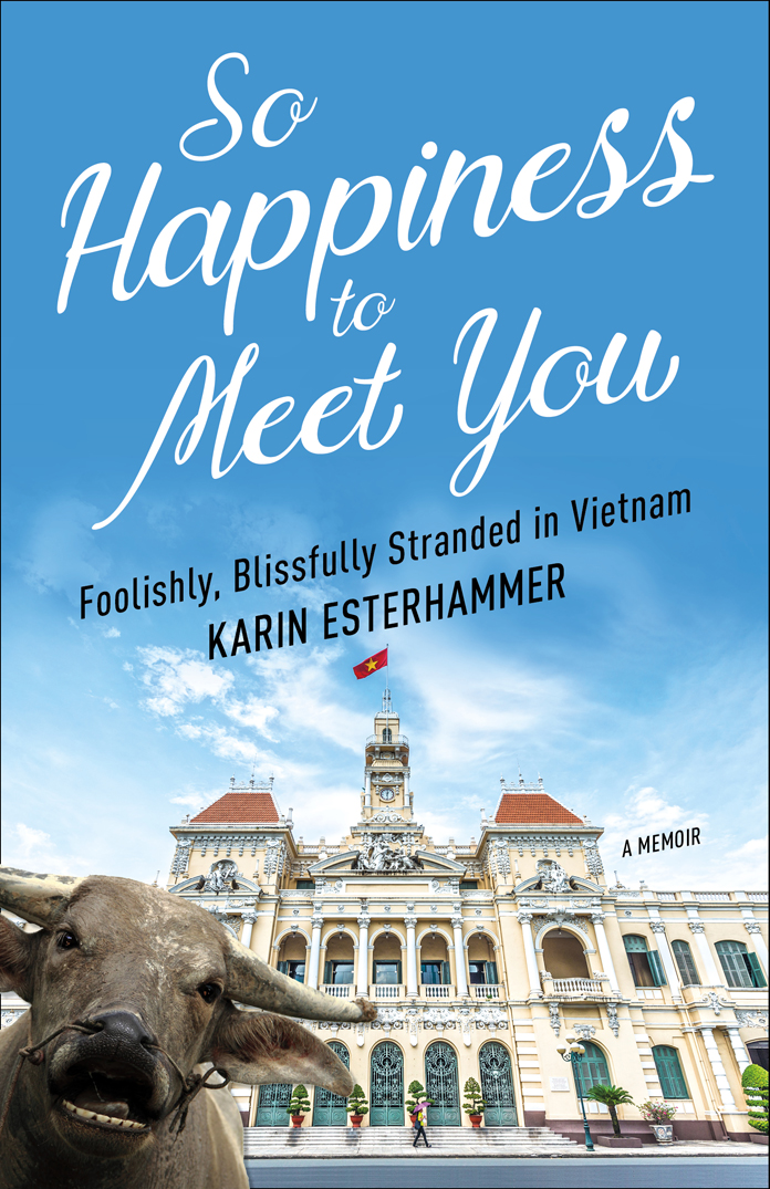So Happiness to Meet You by Karin Esterhammer