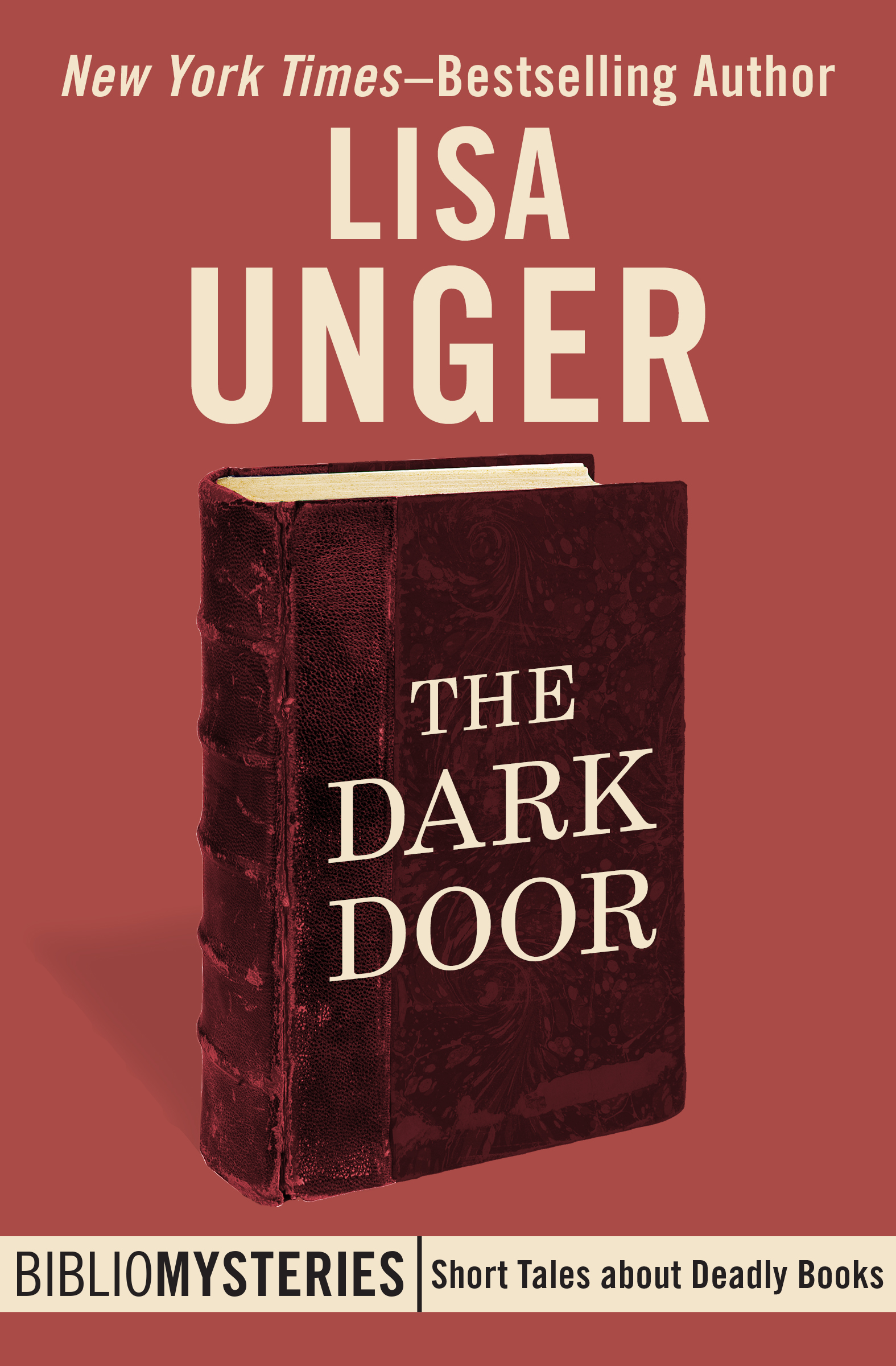 The Dark Door by Lisa Unger