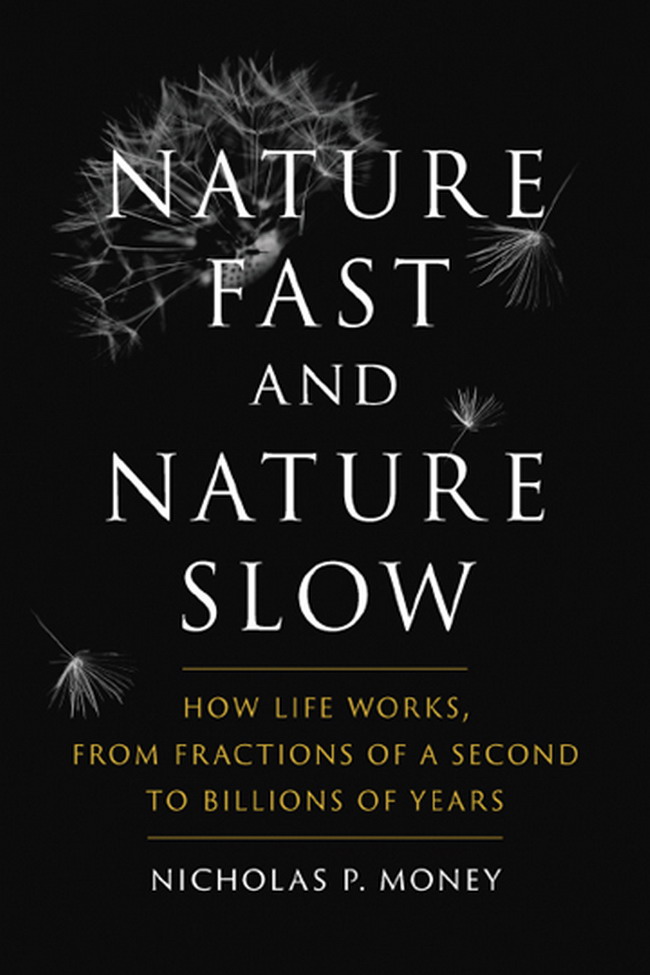 Nature Fast and Nature Slow by Nicholas Money & NICHOLAS MONEY