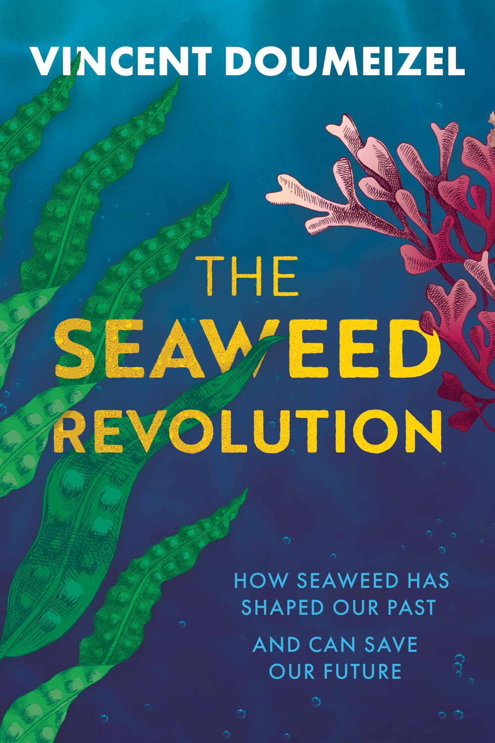 The Seaweed Revolution by Vincent Doumeizel