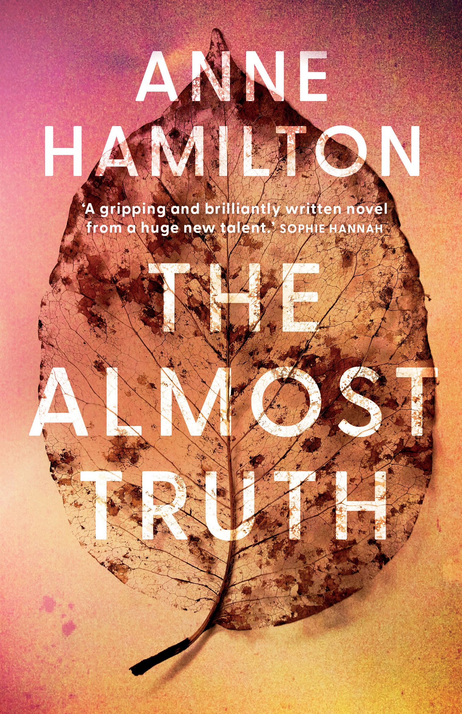 The Almost Truth by Anne Hamilton